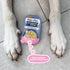 Weruva Meals n More Bed and Breakfast Digestive Support Wet Dog Food 3.5oz - Poudre Pet and Feed Supply